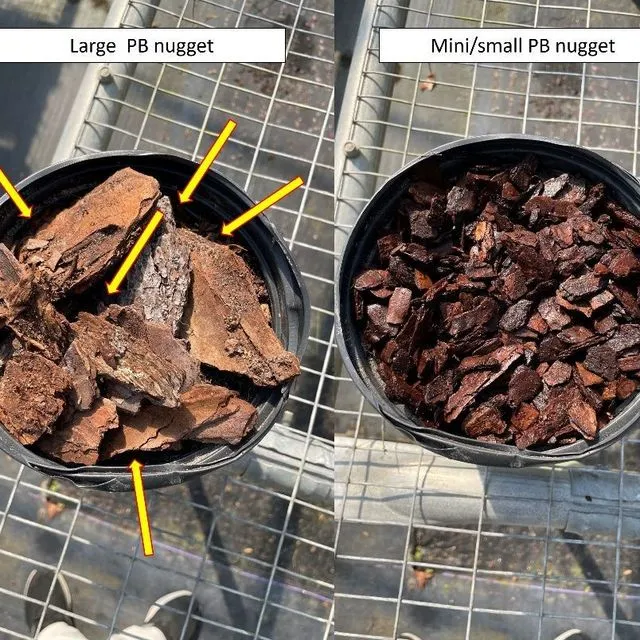 thumbnail for publication: Using Mulch for Weed Control in Container Plant Production